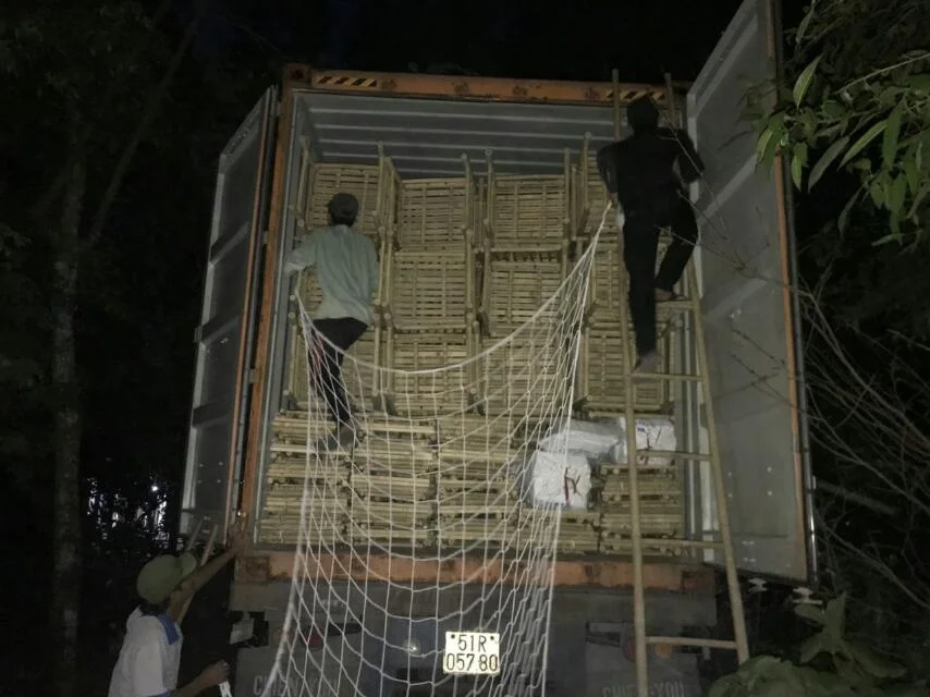 Daybed For Hotel / Furnitures / Beach Resort Furniture Buy Garden