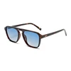 C2: Tort/ Blue Gradient