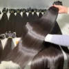 WEFT10 (en inglés)