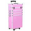 Pink Color