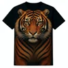 SUBLIMATION