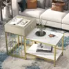 White+Gold Color