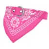 Pink Color