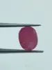 Morado Rosado