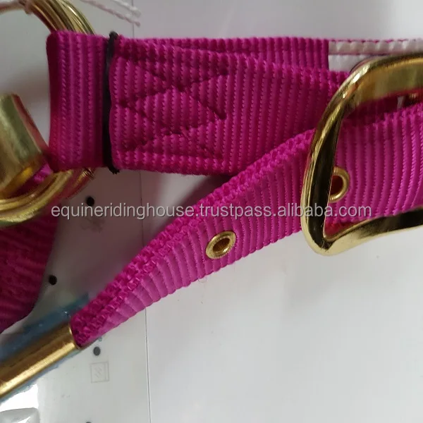 Hot Sale Horse Halter With Lead Rope High Quality Equestrian Equine