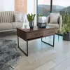 Dark Walnut Color