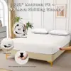 White Color