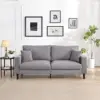 Light Gray Color