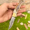 Stag 1