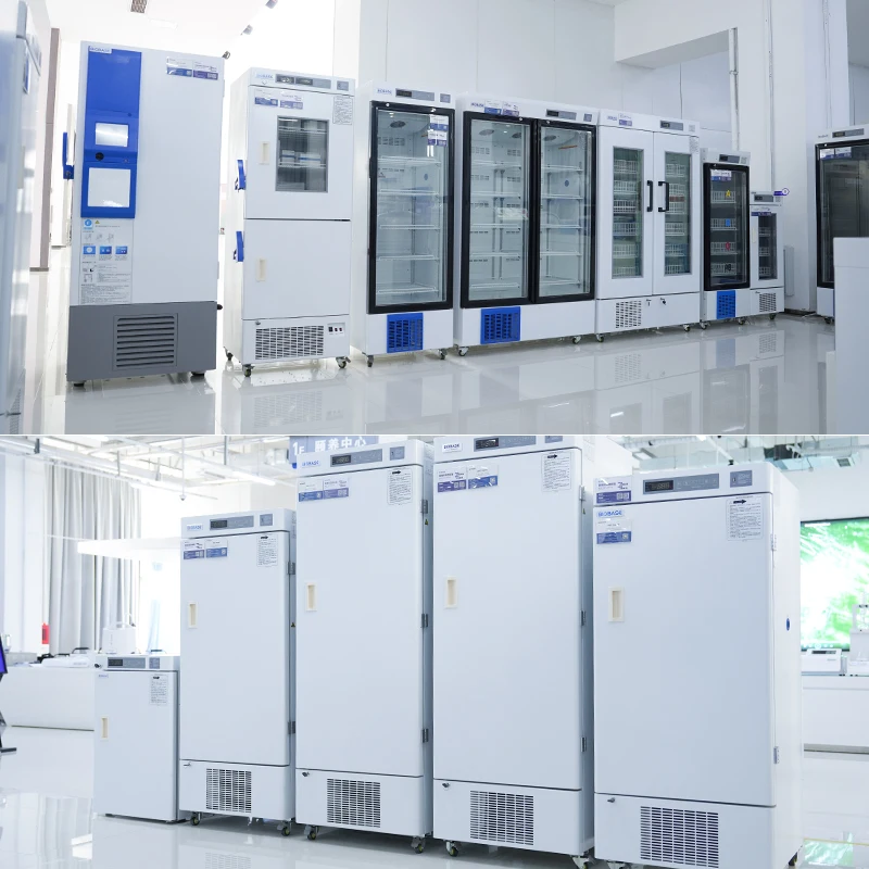 BIOBASE CHINA Laboratory BPR-5V1500 CBig Capacity Double Door 2~8℃ Cryogenic Equipment for Lab