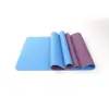 Blue-Purple Color
