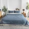 Gray Blue 173
