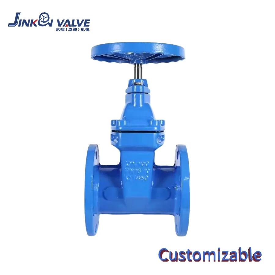 NRS Resilient Seated Gate Valve QT450 Ductile Iron Flanged PN16 Soft Seal DN50-DN600 Water Fire Fighting Custom
