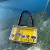 Customized