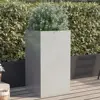Silver Color