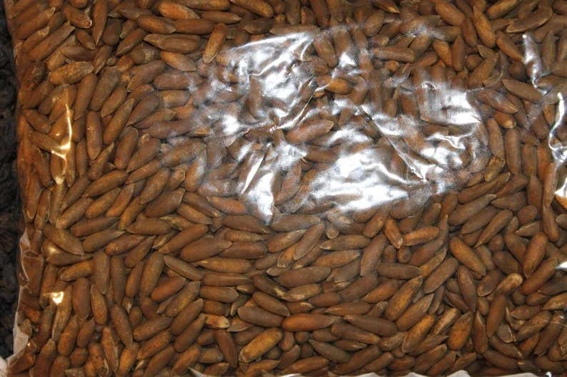 Bulk Afghan Pine Nuts Kernel Buy Pine Nuts Pistachio Nuts White Pine