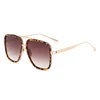C6: Tort/ Brown Gradient