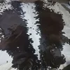 Classic Dark Brown and White