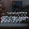 Silver Color