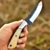 Camel Bone