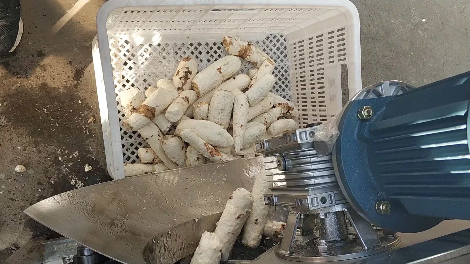 Cassava peeling machine_Cassava machine
