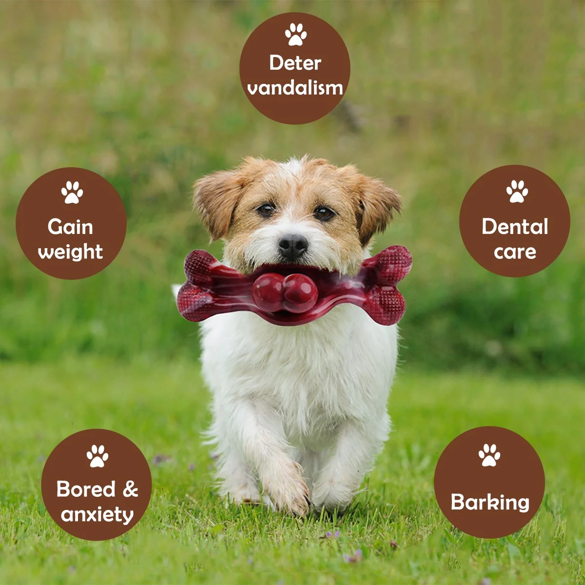 New Design Tough Teeth Cleaning Dog Bone Toys Indestructible Dog Chew Toy  for Aggressive Chewers Large Breed| Alibaba.com
