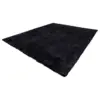 Black Color
