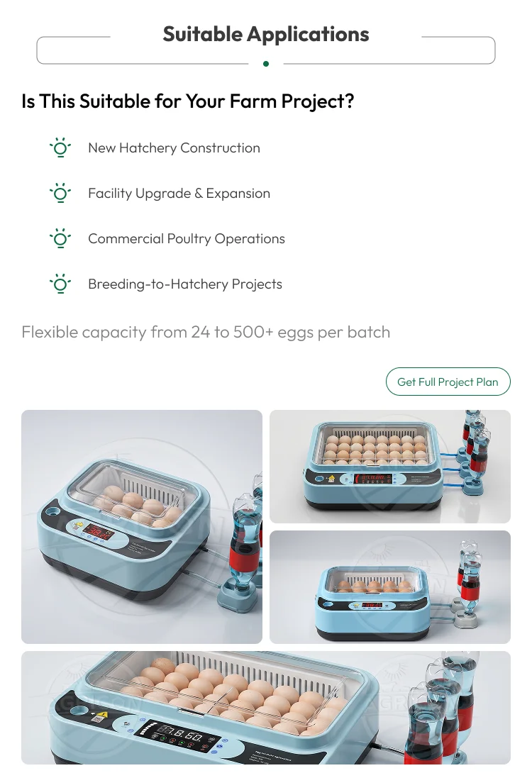Automatic Plastic Egg Incubator 48–96