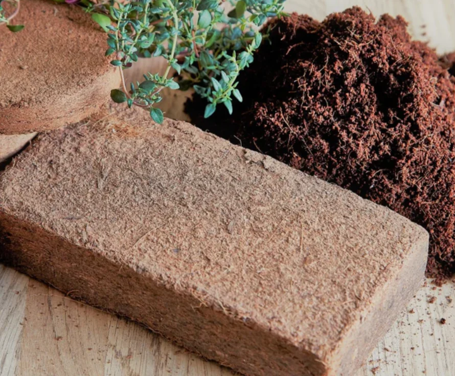 5/2024 Bulk Sustainable Eco Friendly Coconut Peat On Big Season Sale