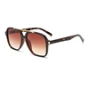 C4: Tortoise/ Brown Gradient