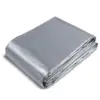 Silver Exterior, Brown Interior Color