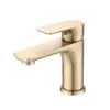 Brushed Gold Color
