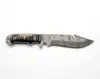 Natural Black-and-White Buffalo Horn