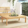 Brown Color