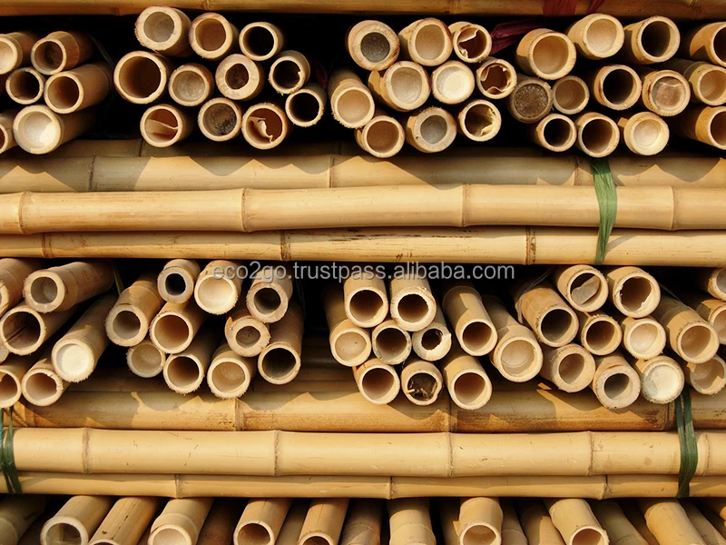 eco2govn_sales_1 (10).jpg