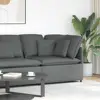 Dark gray Color