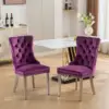 Purple Color