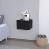Black Color