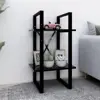 Black Color