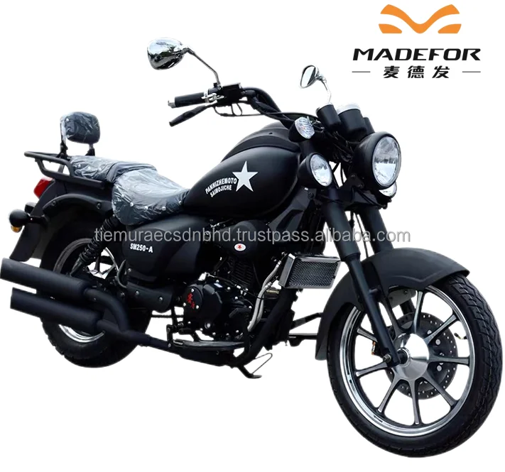 250cc Petrol Road Fat Tire Motor Bike Oil Cycle Bicycle Street Legal ...