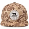 Camel