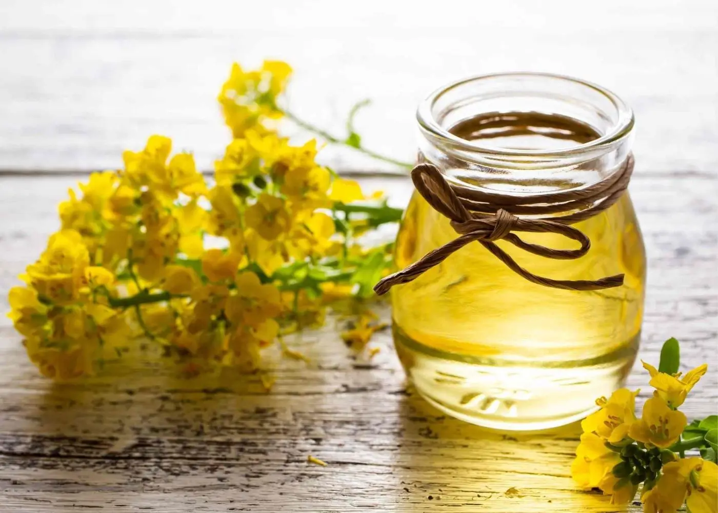 Wholesale Cheap Supplier Hot Selling High Quality 100% Purity Organic ISO Certified Canola Oil Bulk Fast Delivery Buy Now! Top