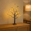 55cm Height 24 LED Warm Light with Golden Fruits
