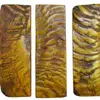 Natural Horn Colours