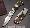 Stag Horn & Wood