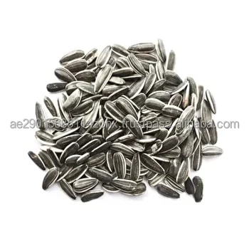 cheap sunflower seed.jpg