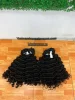Negro