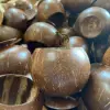 natural color of coconut shell