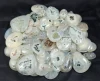 White, Sold by Weight(grams), 12 to 14pcs per 100g