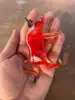Transparent